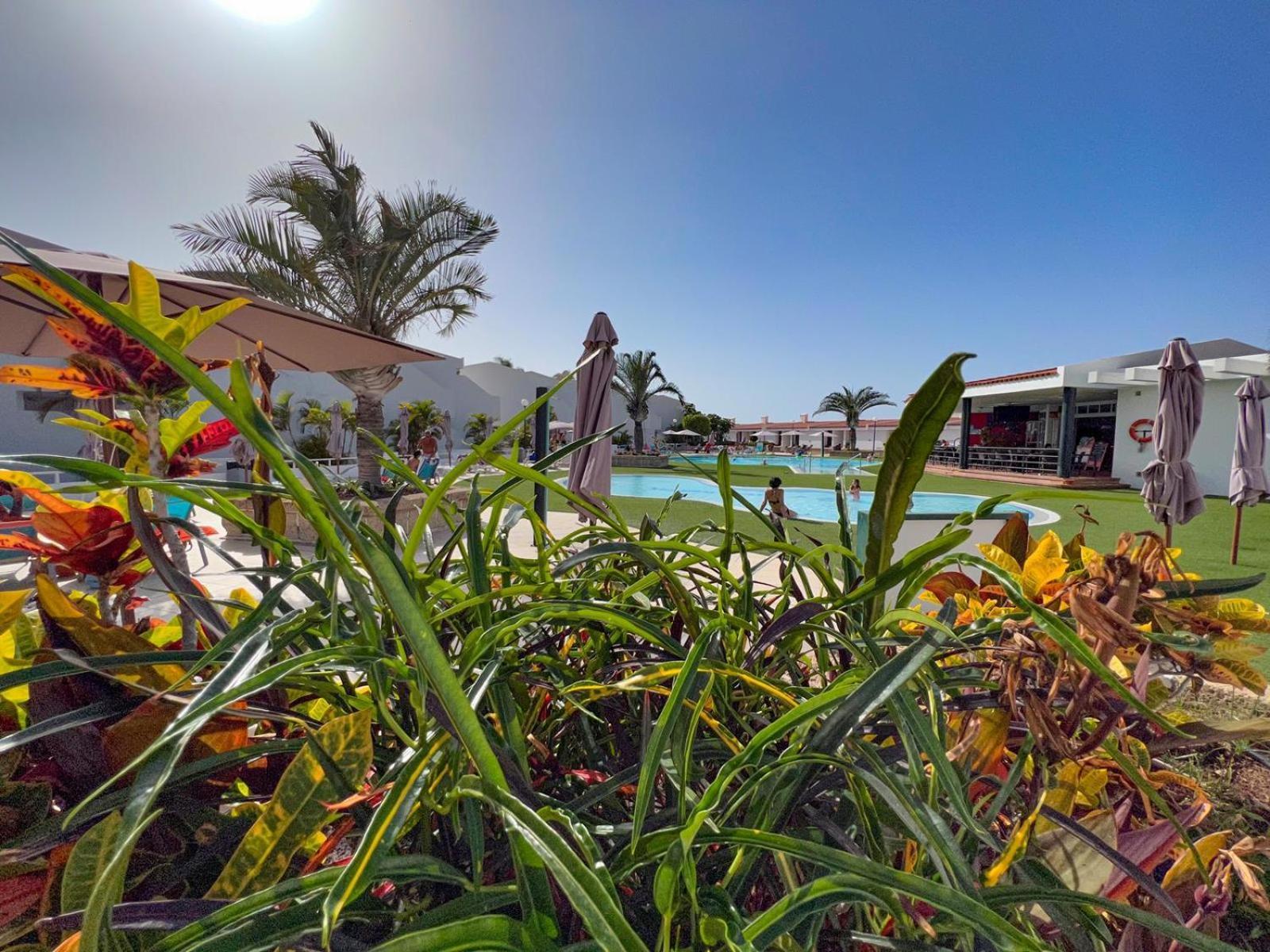 אדחה Malibu Park Apartments Sol מראה חיצוני תמונה